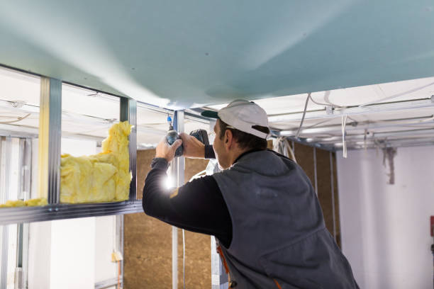 Best Insulation Maintenance and Repair in Stephenville, TX