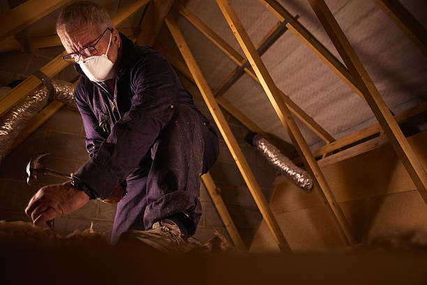 Best Commercial Insulation in Stephenville, TX